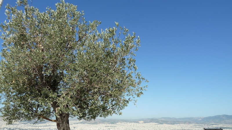 Lycabettus 18.JPG